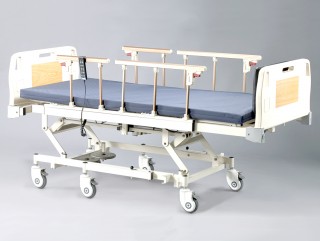 Electric Standing Up Bed