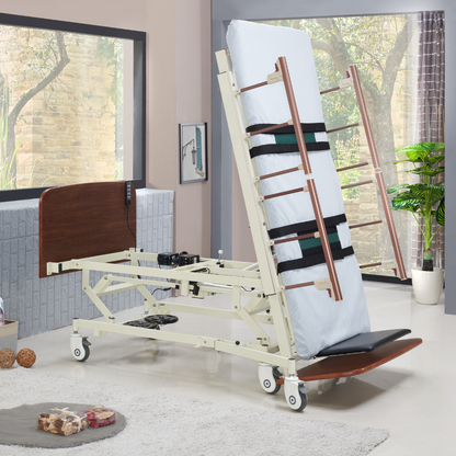 Electric Standing Bed for Home Healthcare